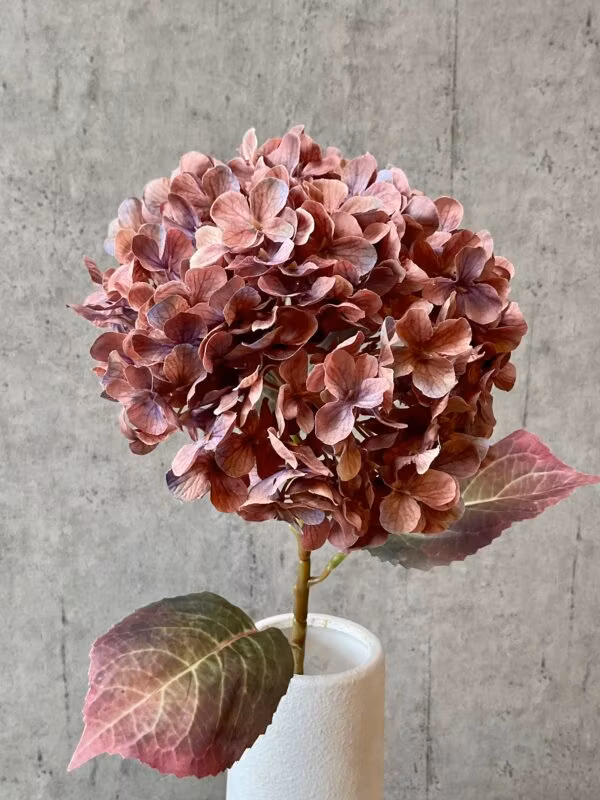 Hortensia copper