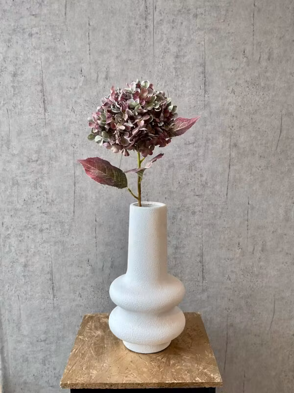 Hortensia Grøn/lilla