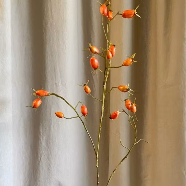 Gren m hyben orange