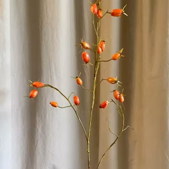 Gren m hyben orange