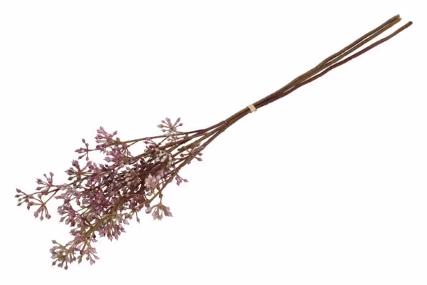 Bær gren purple