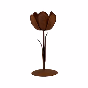 Blomster stage rust