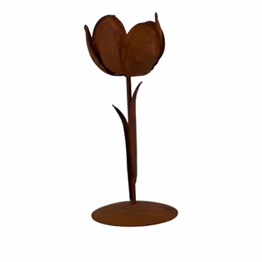 Blomster stage rust