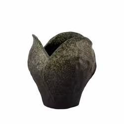Peoni potte