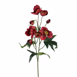 Jule rose Mørke rød