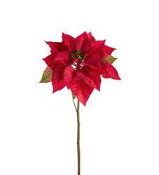 Julestjerne rød 70 cm