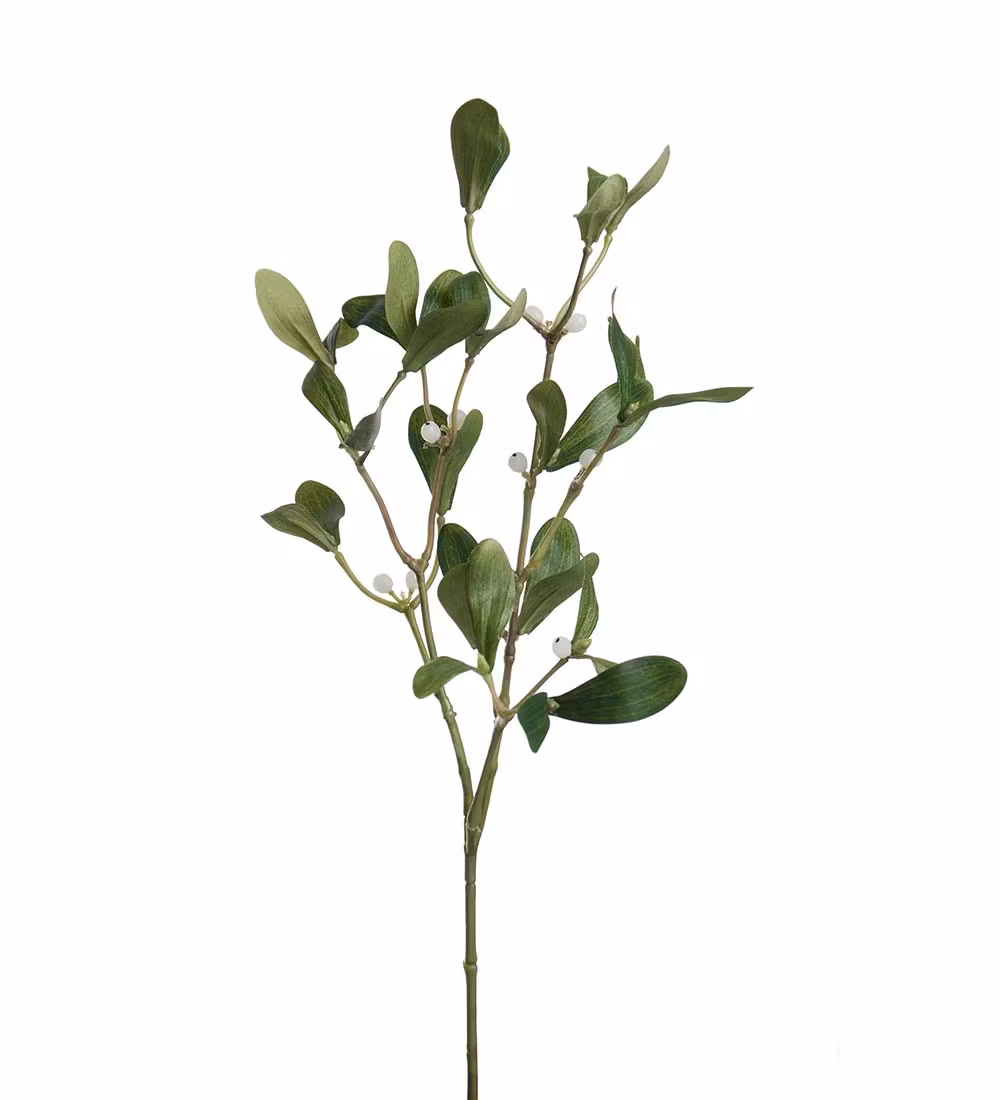 Mistelten gren 60 cm