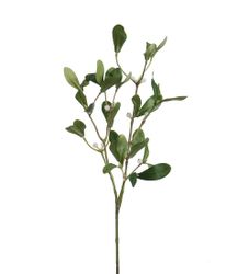 Mistelten gren 60 cm
