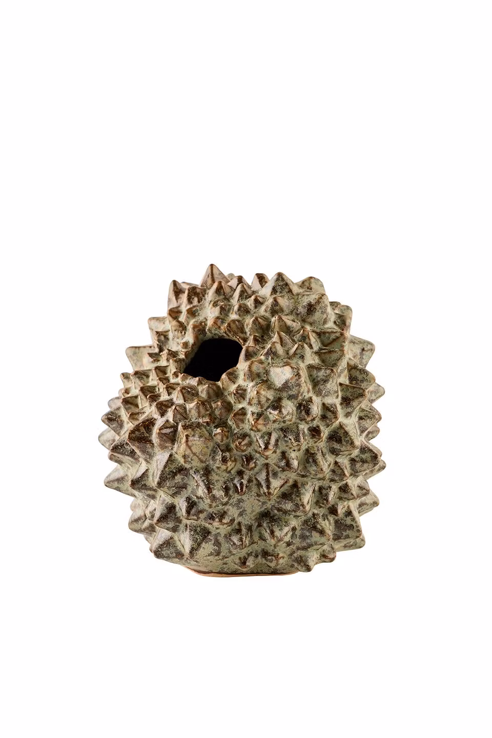 Vase Breadfruit
