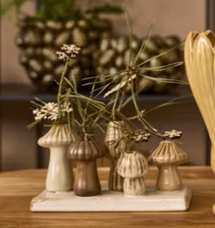 Vase/fad m/svampe