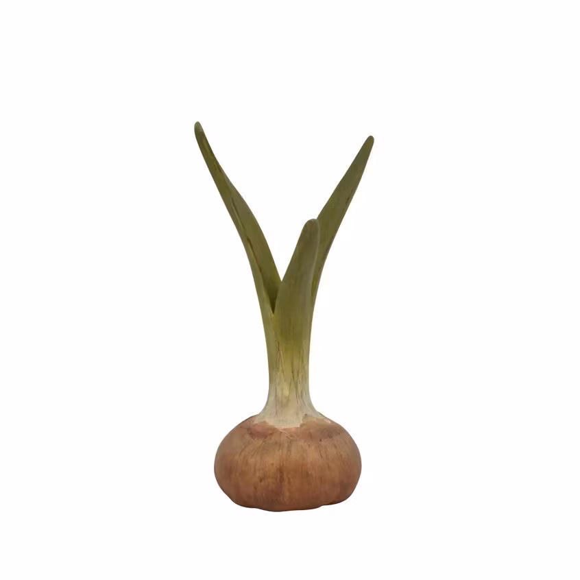 Løg vase
