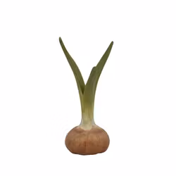 Løg vase