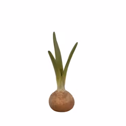 Løg vase