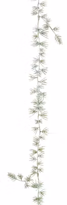 Ceder guirlande m/Glimmer 160 cm
