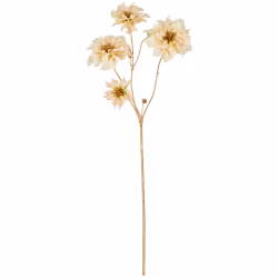 Julerose creme m/ guld