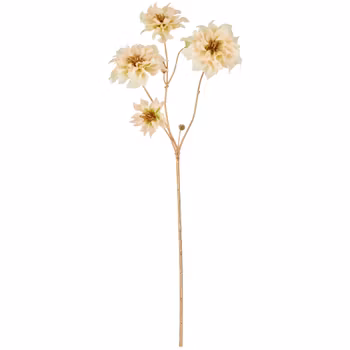 Julerose creme m/ guld
