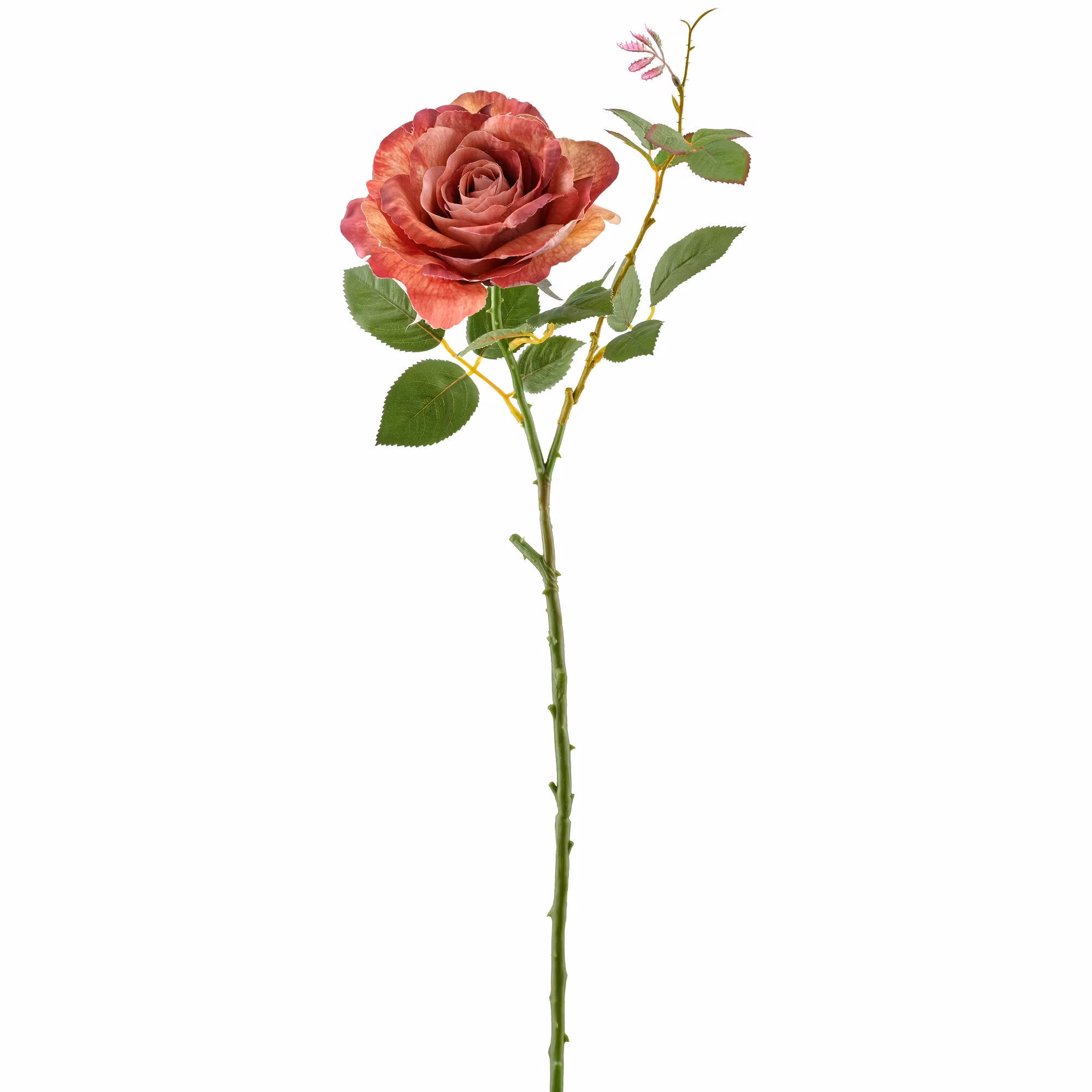 Rose peach h 72 cm
