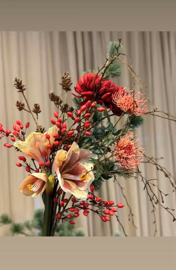 Chrysanthemum rød