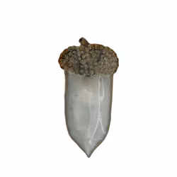 Agern fad