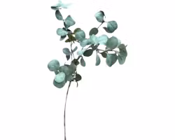 Eukalyptusgren