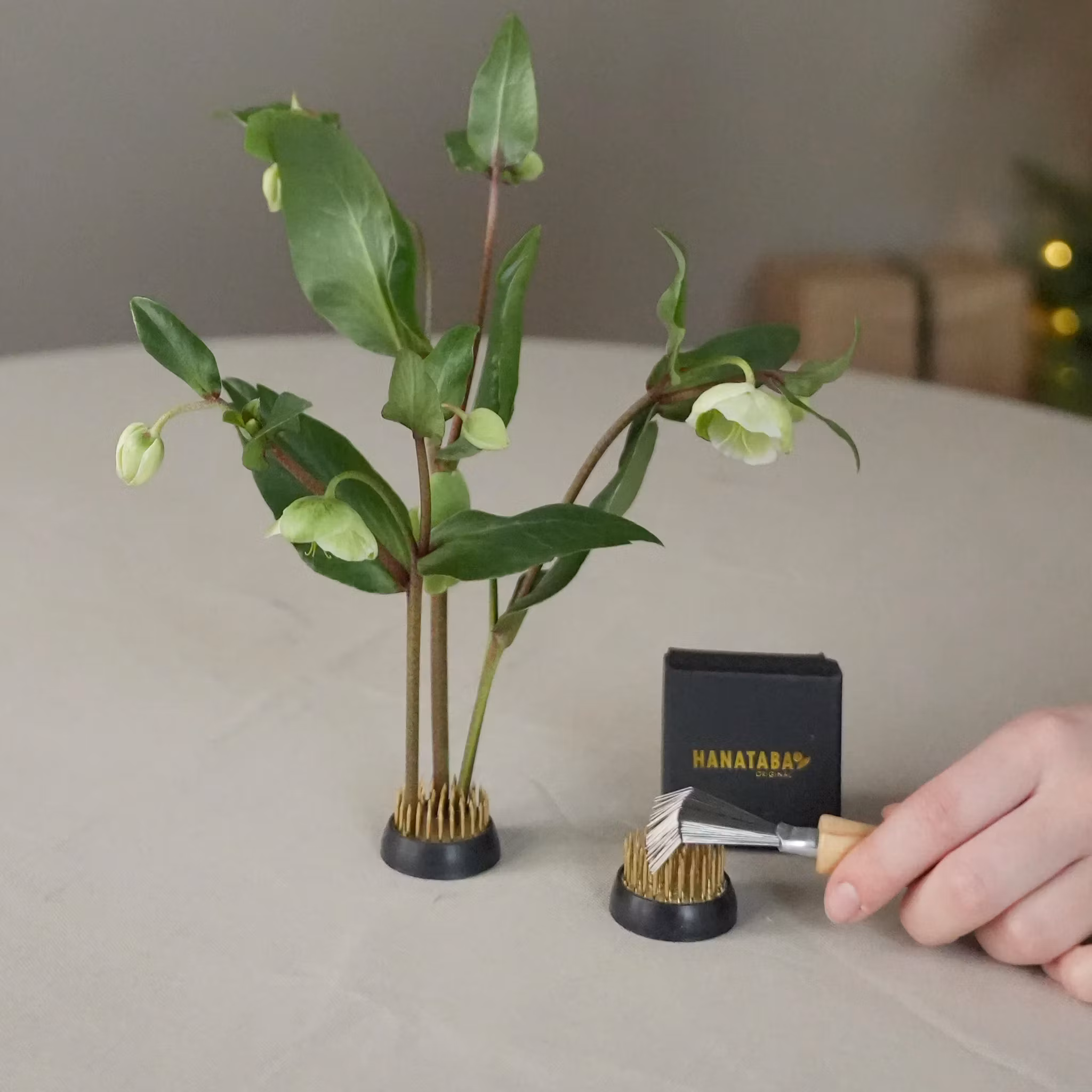 Hanataba - Den ultimative gave til blomstermagere