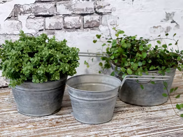 Skjuler m/hank sæt 3 stk.