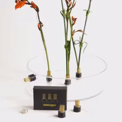 Magnetisk Mini Kenzan Fakir