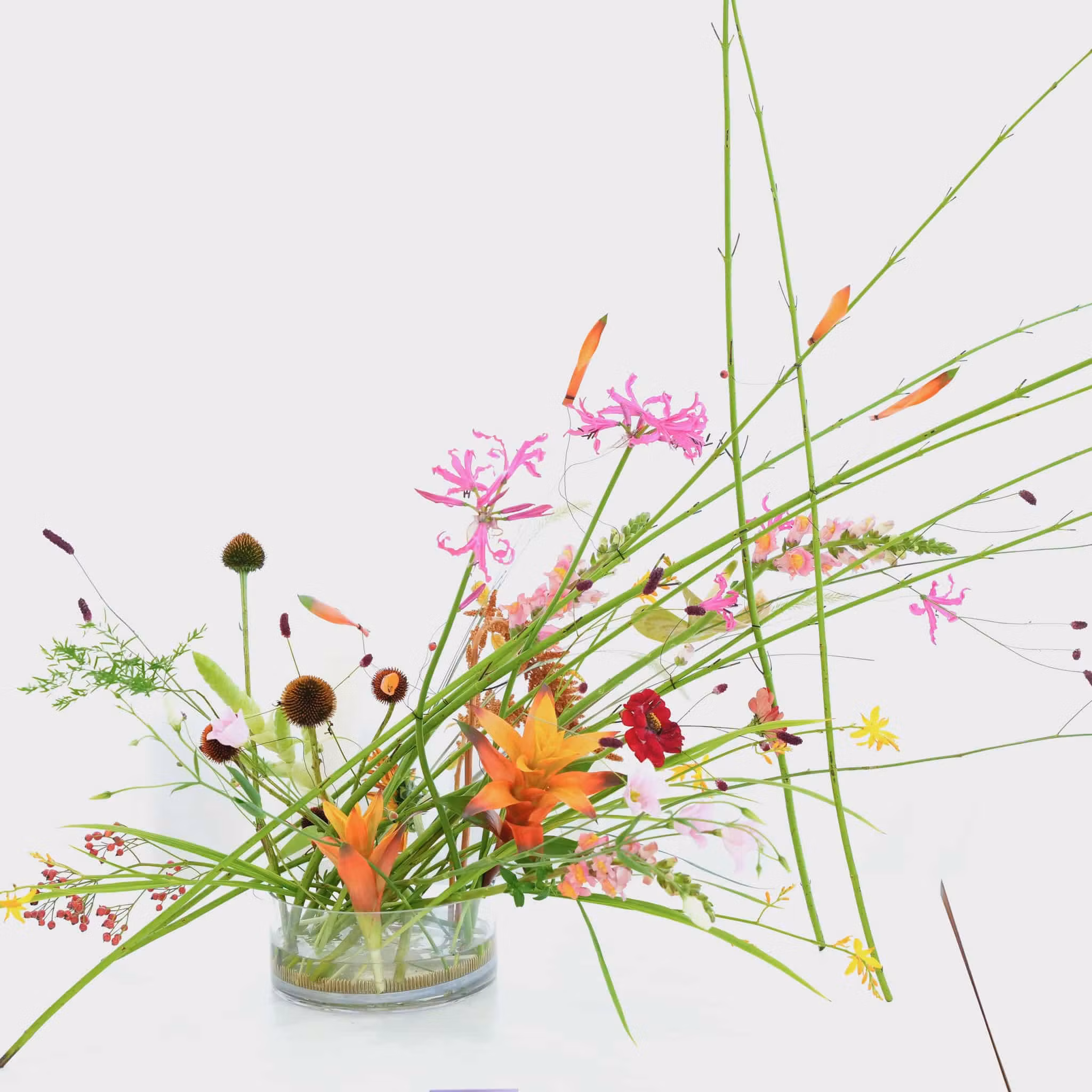 Kenzan Ring 200 mm Blomsterfakir