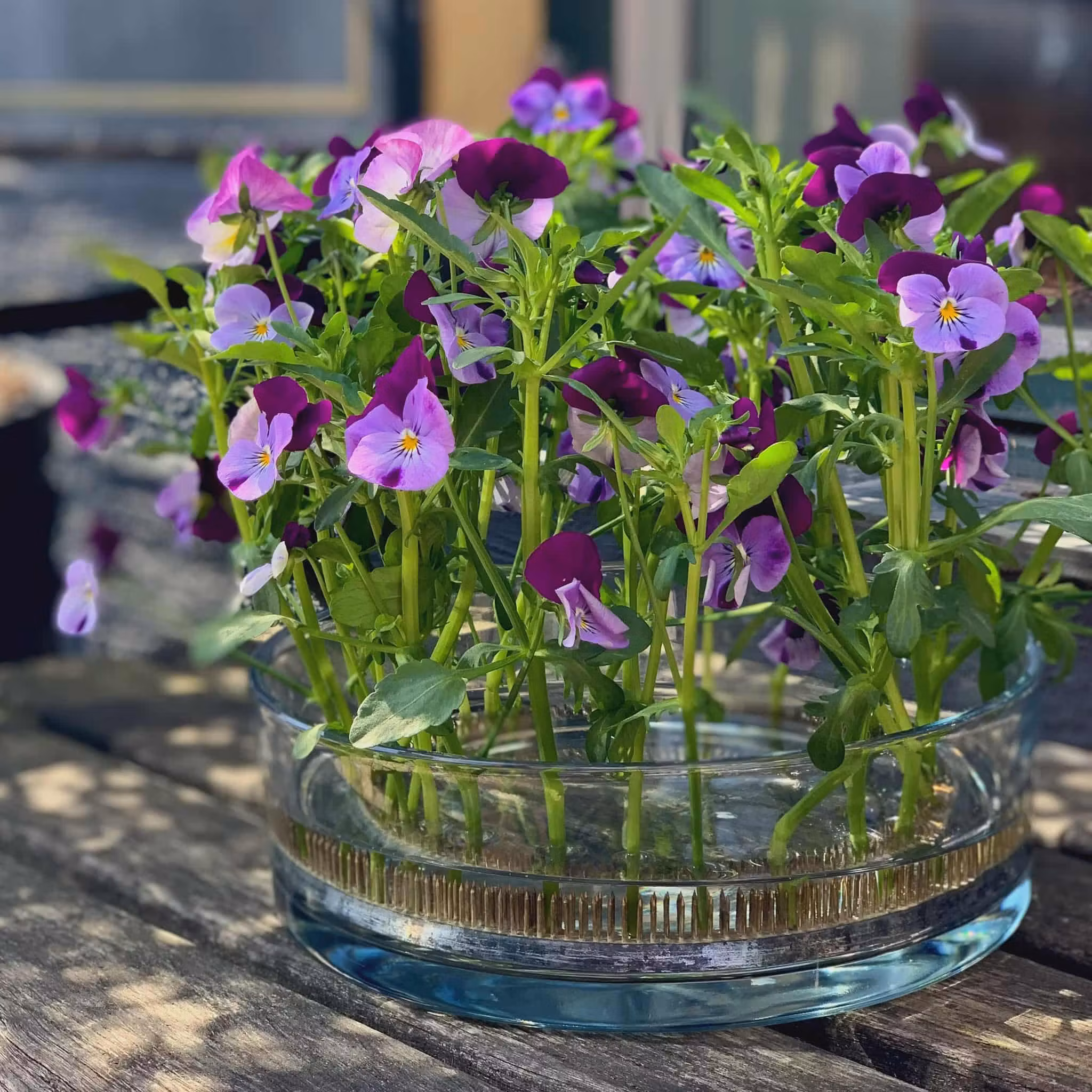 Kenzan Ring 200 mm Blomsterfakir