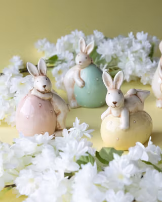Dekorationskaniner på æg