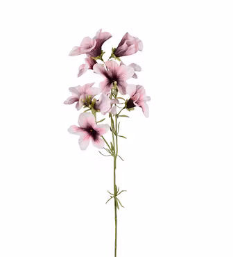 Petunia Mørk lilla