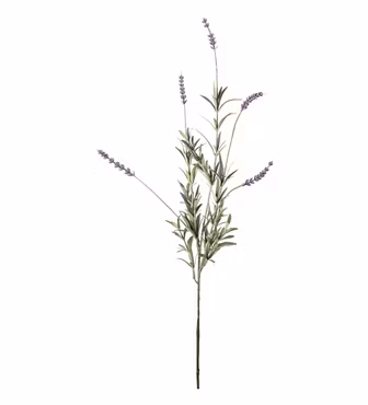 Lavendel stilk Lilla