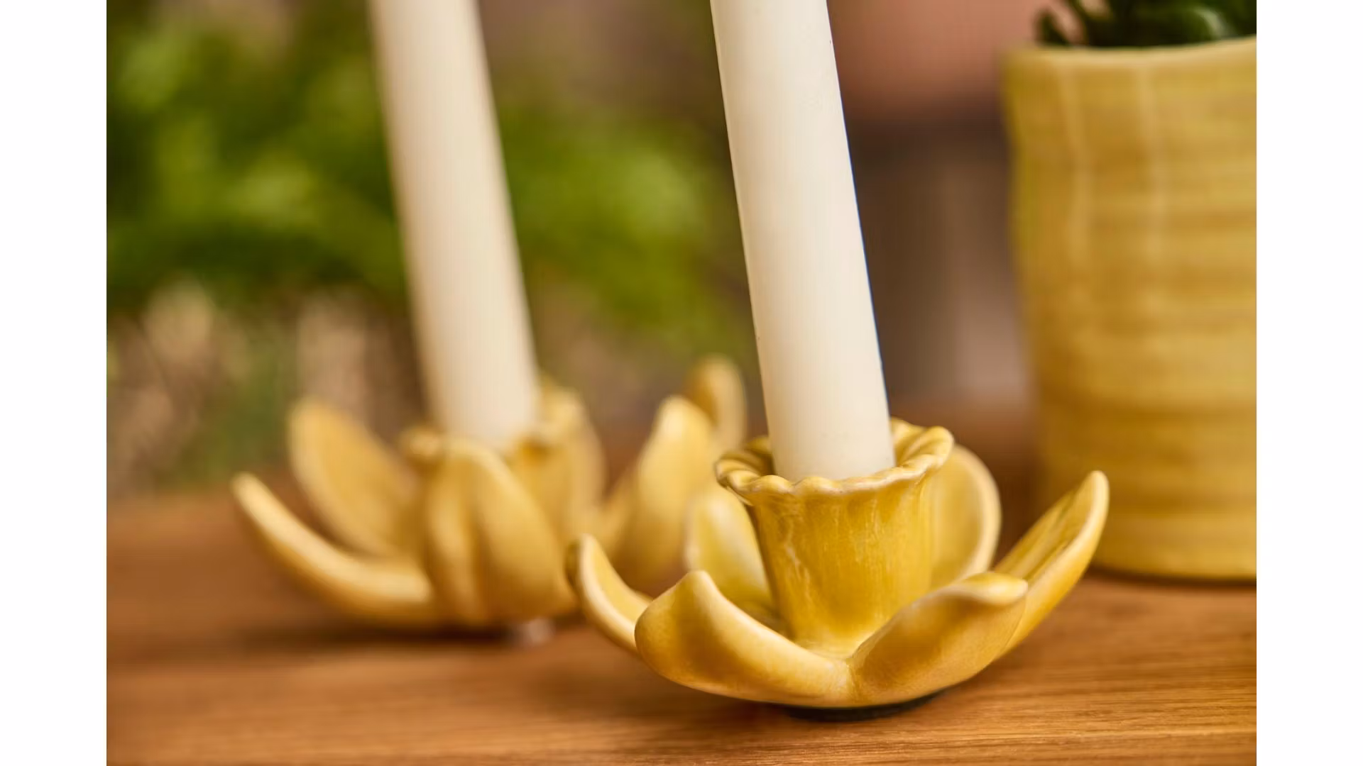 Lysestage påskelilje