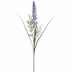 Lupin gren med blade