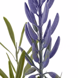 Lupin gren med blade