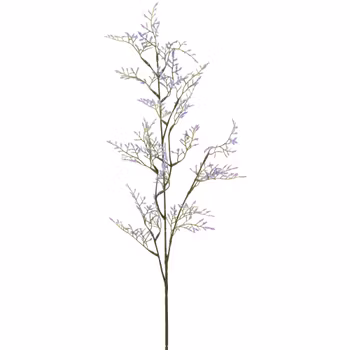 Limonium gren lys lilla