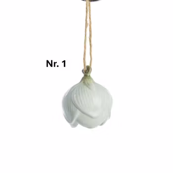 Dehlia blomsterophænger L. Grøn