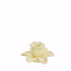 Blomsterlysestage gul