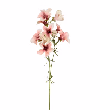 Petunia Mørk Pink