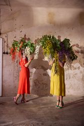 Visteria Japansk Blåregn Hvid