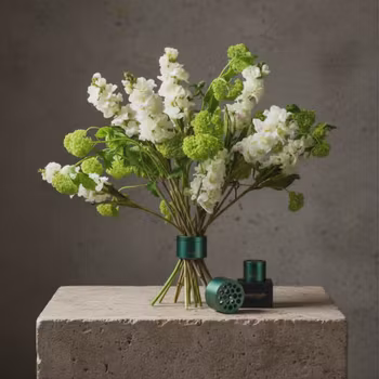 Hanataba Ivy Green