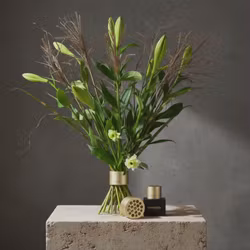 Hanataba guld champagne