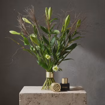 Hanataba guld champagne