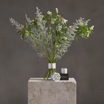 Hanataba Pearly Silver