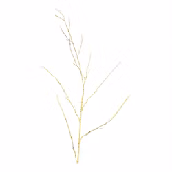 Deko gren brun h 85 cm