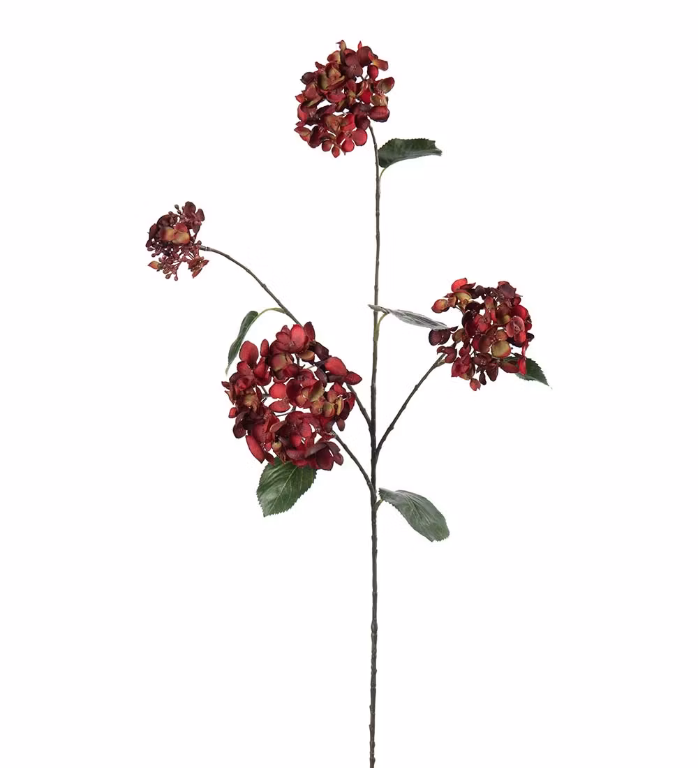 Hortensia Dyb rød