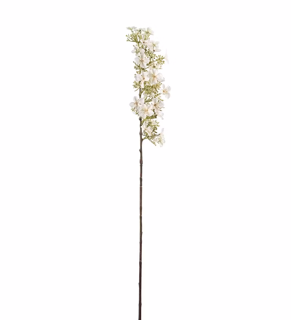 Hortensia Fløde farvet