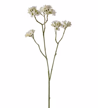 Blomster kvist hvid
