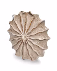 Vase Shell Glasur