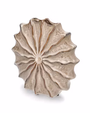 Vase Shell Glasur
